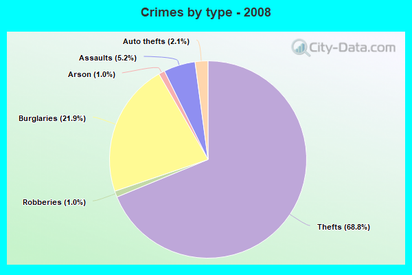 Crimes by type - 2008