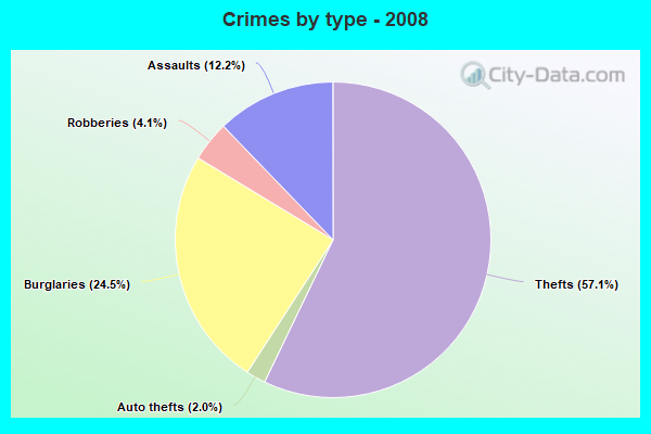 Crimes by type - 2008