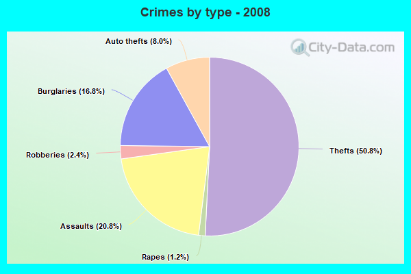 Crimes by type - 2008