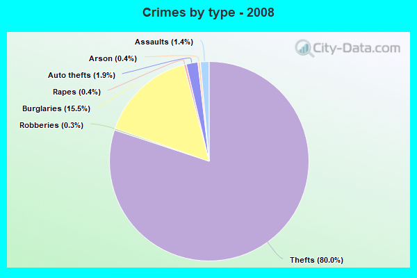 Crimes by type - 2008