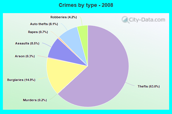 Crimes by type - 2008