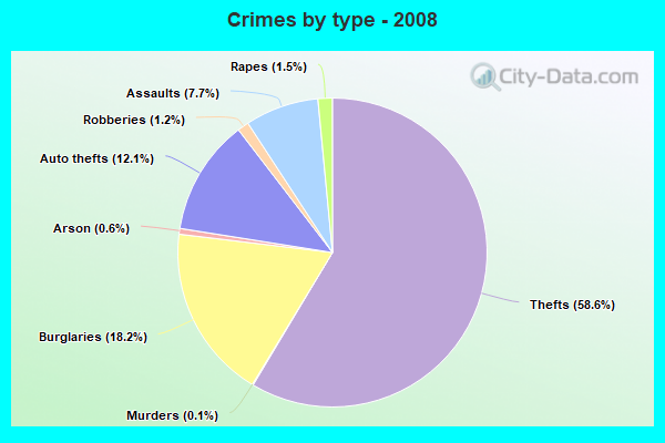 Crimes by type - 2008