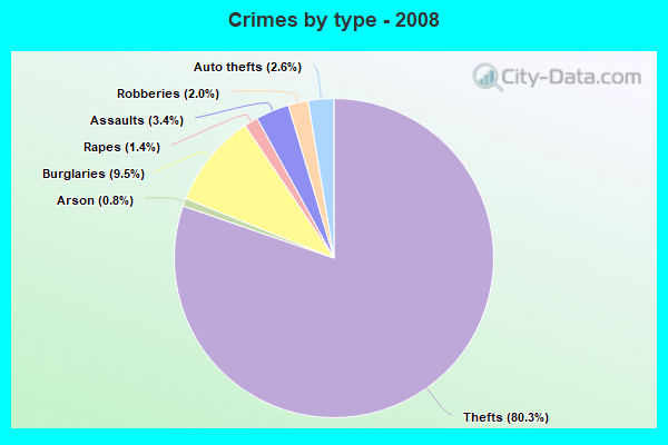 Crimes by type - 2008