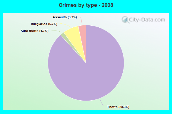 Crimes by type - 2008