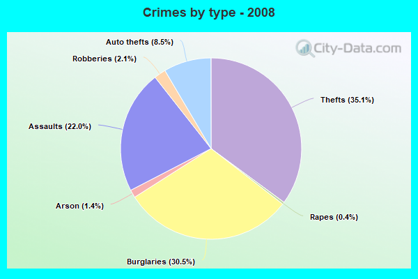 Crimes by type - 2008