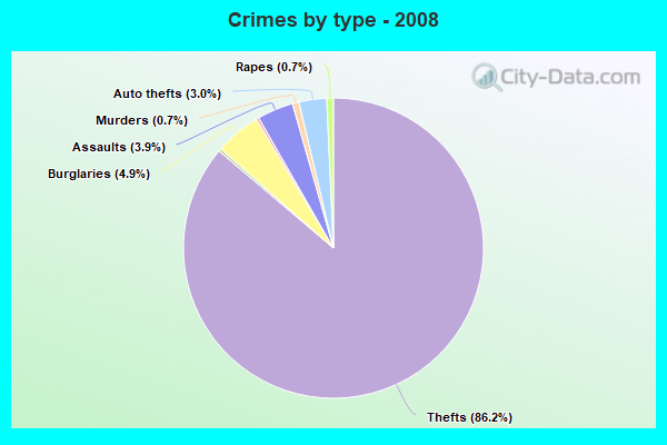 Crimes by type - 2008