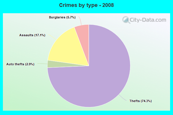 Crimes by type - 2008