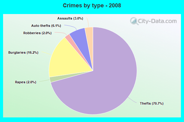 Crimes by type - 2008