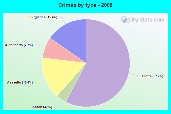 Crimes by type - 2008