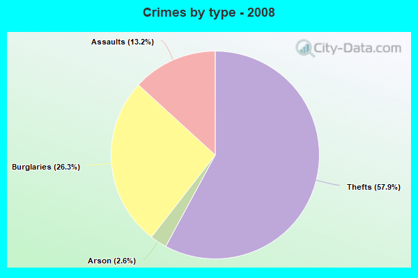 Crimes by type - 2008