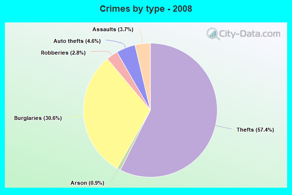 Crimes by type - 2008