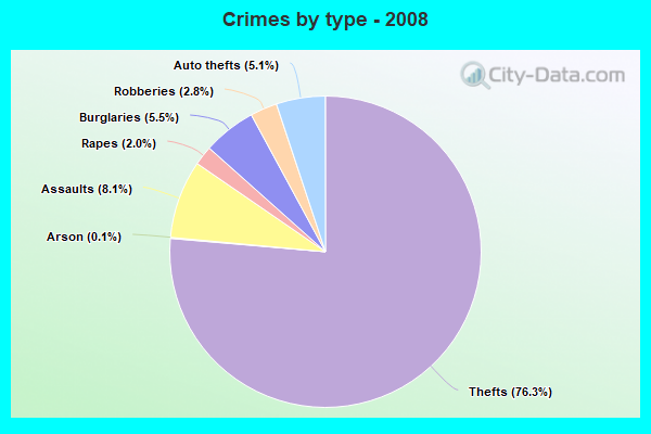 Crimes by type - 2008