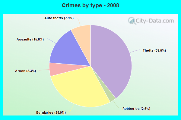 Crimes by type - 2008