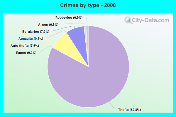 Crimes by type - 2008