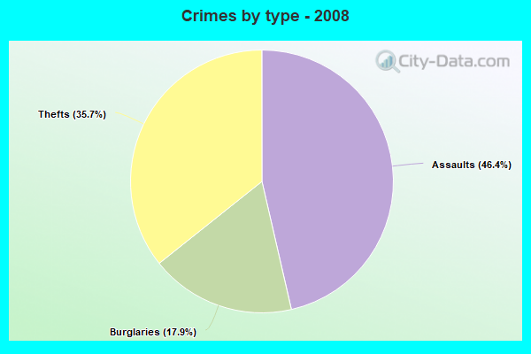 Crimes by type - 2008