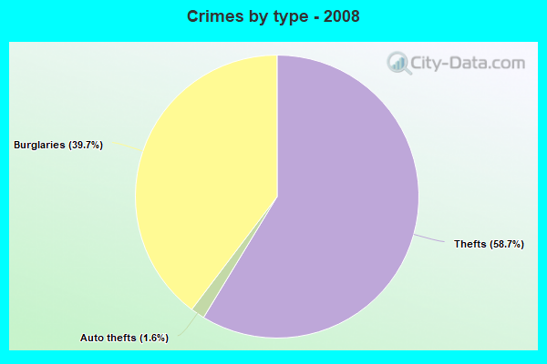 Crimes by type - 2008