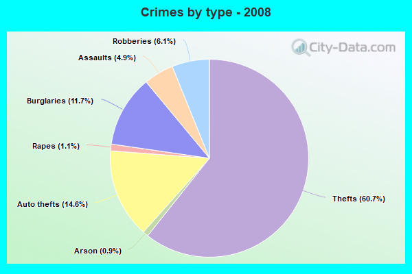 Crimes by type - 2008