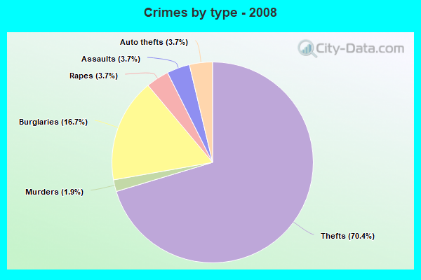 Crimes by type - 2008