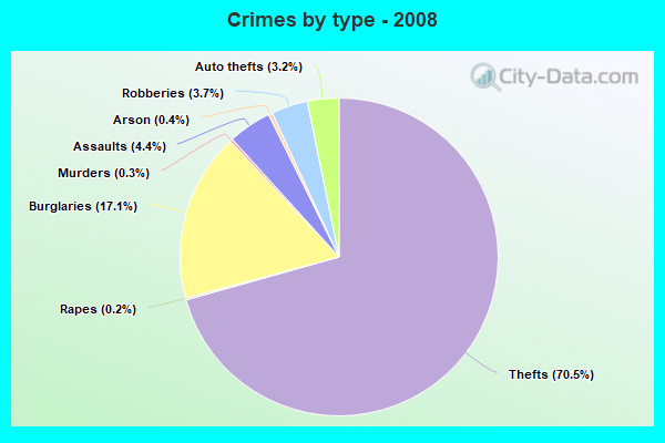 Crimes by type - 2008