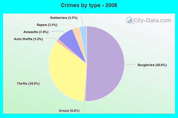 Crimes by type - 2008