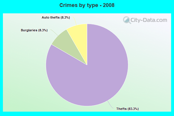 Crimes by type - 2008