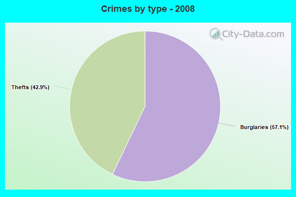 Crimes by type - 2008