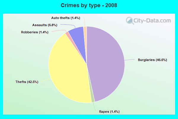 Crimes by type - 2008