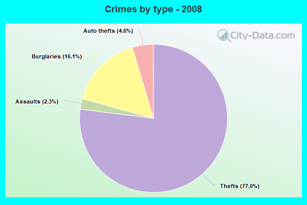 Crimes by type - 2008