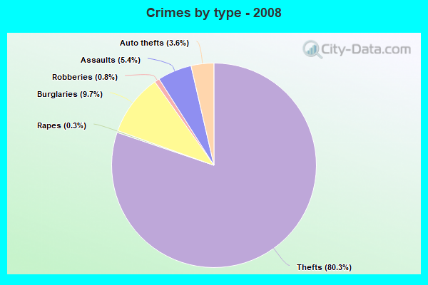 Crimes by type - 2008