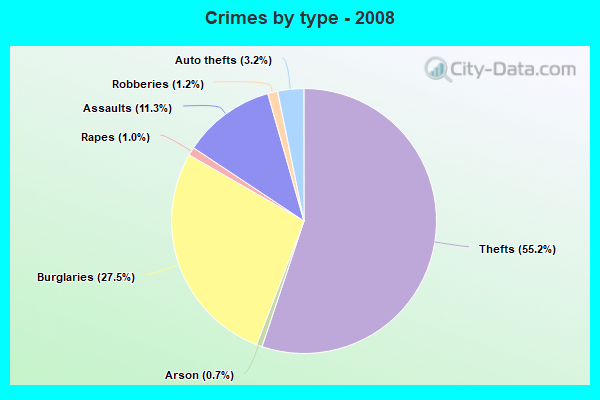 Crimes by type - 2008