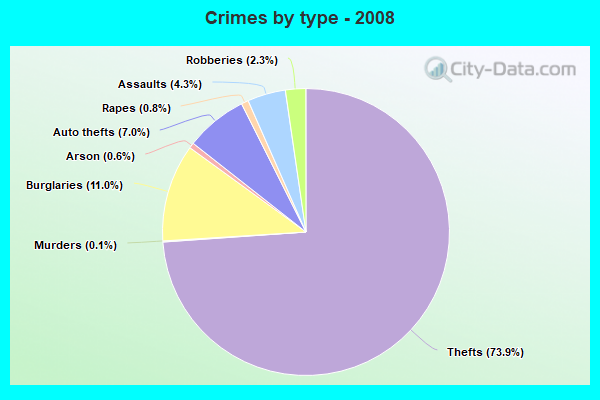 Crimes by type - 2008