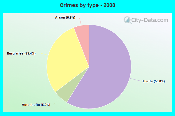 Crimes by type - 2008