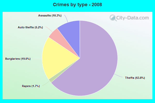 Crimes by type - 2008