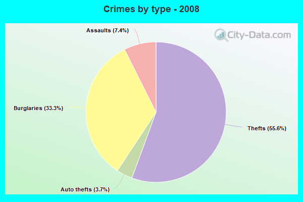 Crimes by type - 2008