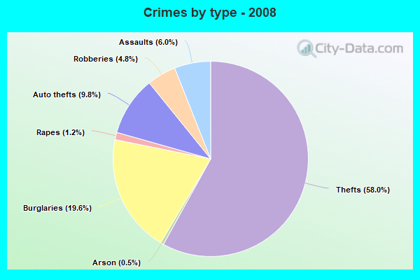 Crimes by type - 2008