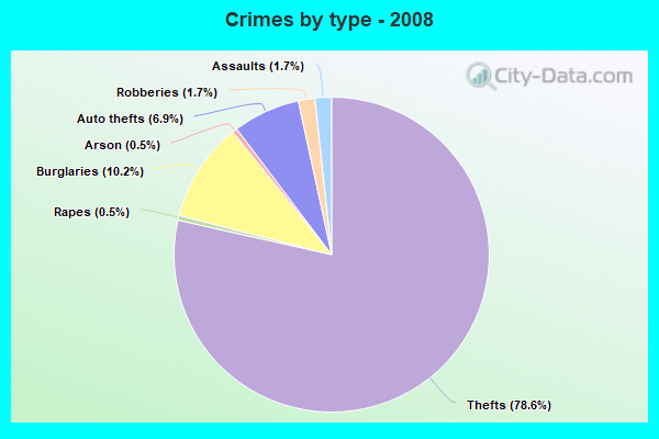 Crimes by type - 2008