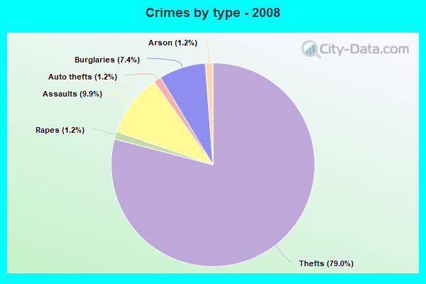 Crimes by type - 2008