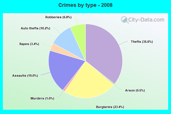 Crimes by type - 2008