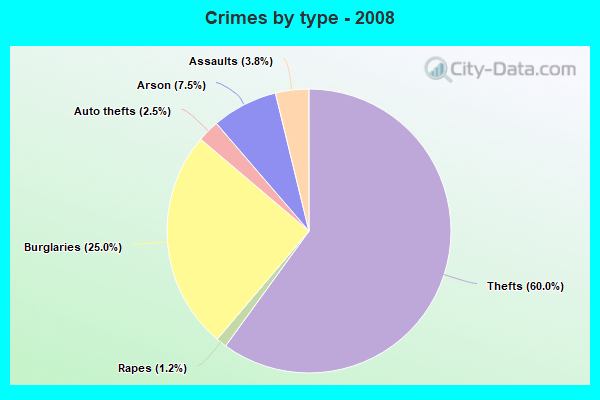 Crimes by type - 2008