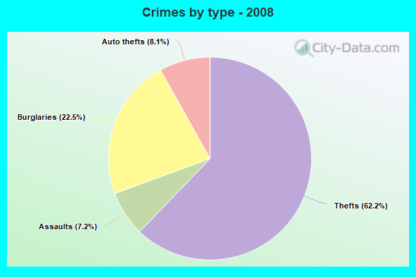 Crimes by type - 2008