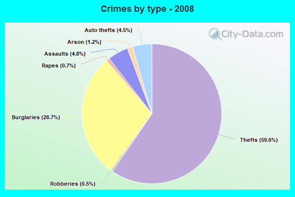 Crimes by type - 2008