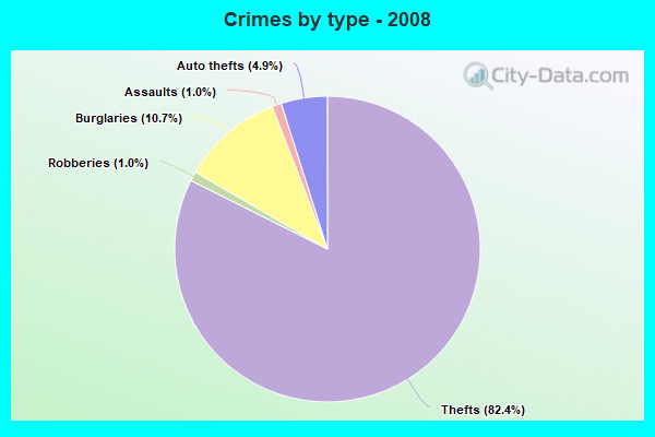 Crimes by type - 2008