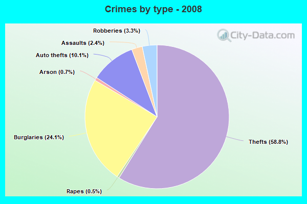 Crimes by type - 2008