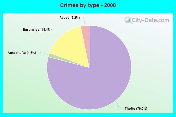 Crimes by type - 2008