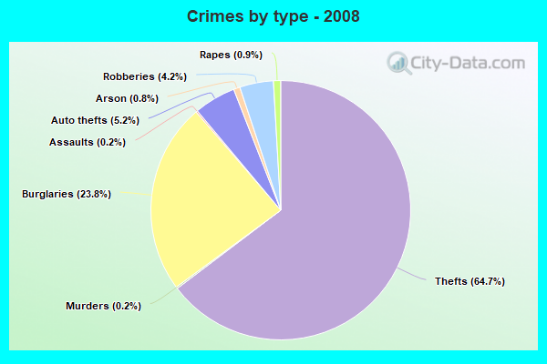 Crimes by type - 2008