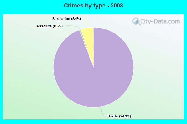 Crimes by type - 2008