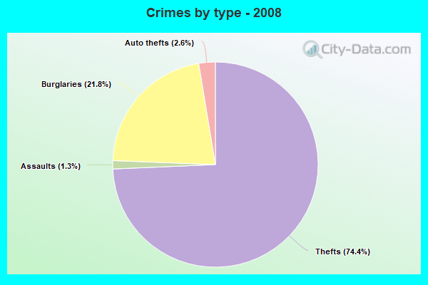 Crimes by type - 2008