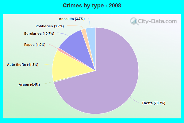 Crimes by type - 2008