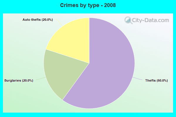 Crimes by type - 2008