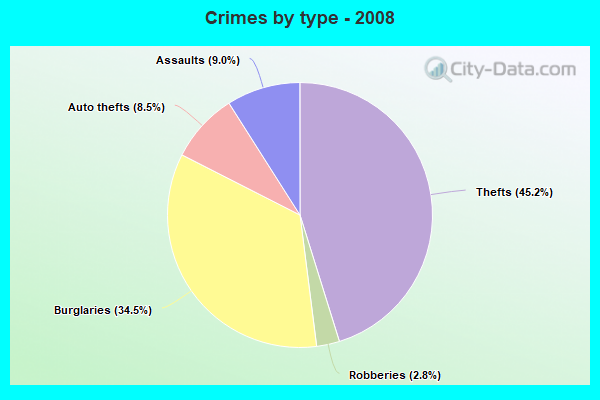 Crimes by type - 2008